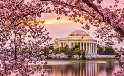Washington D.C. en rosa pastel