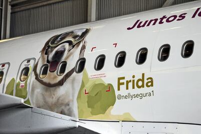 Aerolínea homenajea a perrita rescatista Frida
