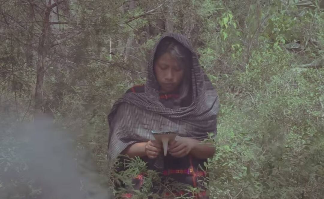 Yalitza Aparicio. Foto: Captura de pantalla 