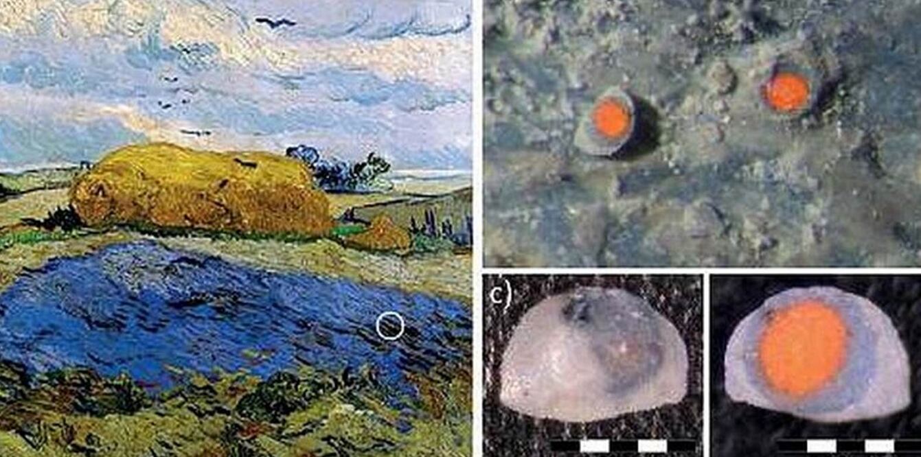 Los científicos tomaron una muestra microscópica de la pintura "Pajares bajo un cielo lluvioso" y encontraron que debajo de la superficie se conserva el vívido pigmento rojo original (TOMADA DE dailymail.co.uk)