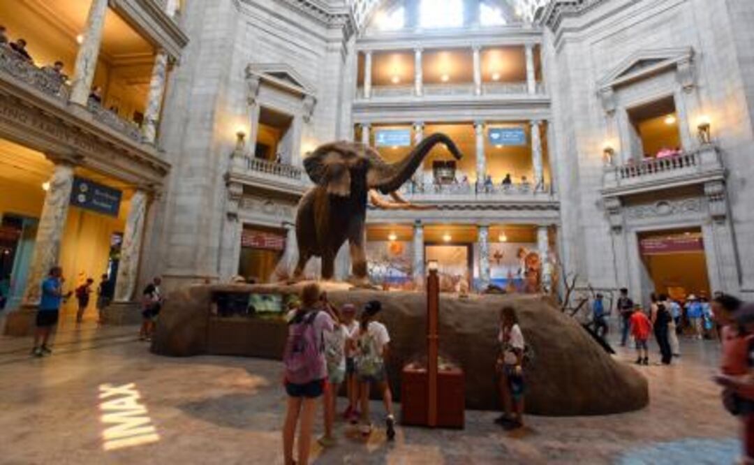 "Los museos de la capital de nuestro país deben ser lugares a los que las personas acudan para aprender, no para ser objeto de adoctrinamiento ideológico", dijo Trump. Foto: Archivo/El Universal