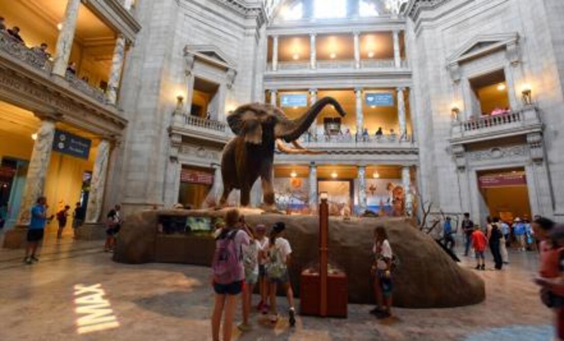 "Los museos de la capital de nuestro país deben ser lugares a los que las personas acudan para aprender, no para ser objeto de adoctrinamiento ideológico", dijo Trump. Foto: Archivo/El Universal