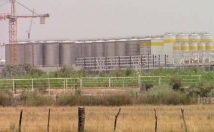 Constellation Brands invertirá al menos 1.3 mmdd en planta en el sureste mexicano