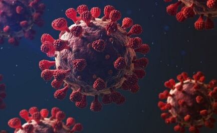 Coronavirus: ¿El covid-19 puede volverse un virus endémico?