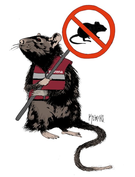 Cartón de KEMCHS
