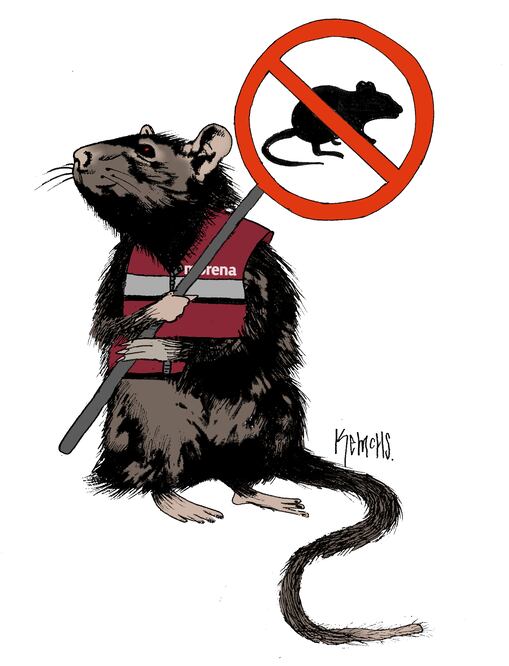 Cartón de KEMCHS