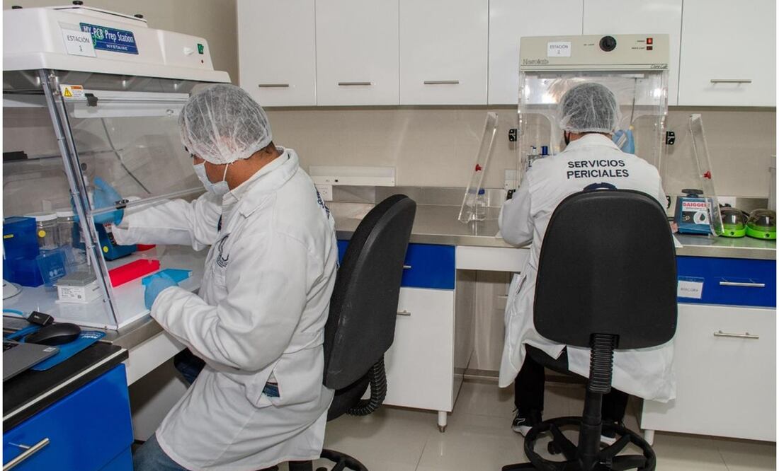 Esta Certificación Internacional asegura la integridad y la calidad de sus procesos científicos del Laboratorio de Genética Forense de Tamaulipas. Foto: Especial