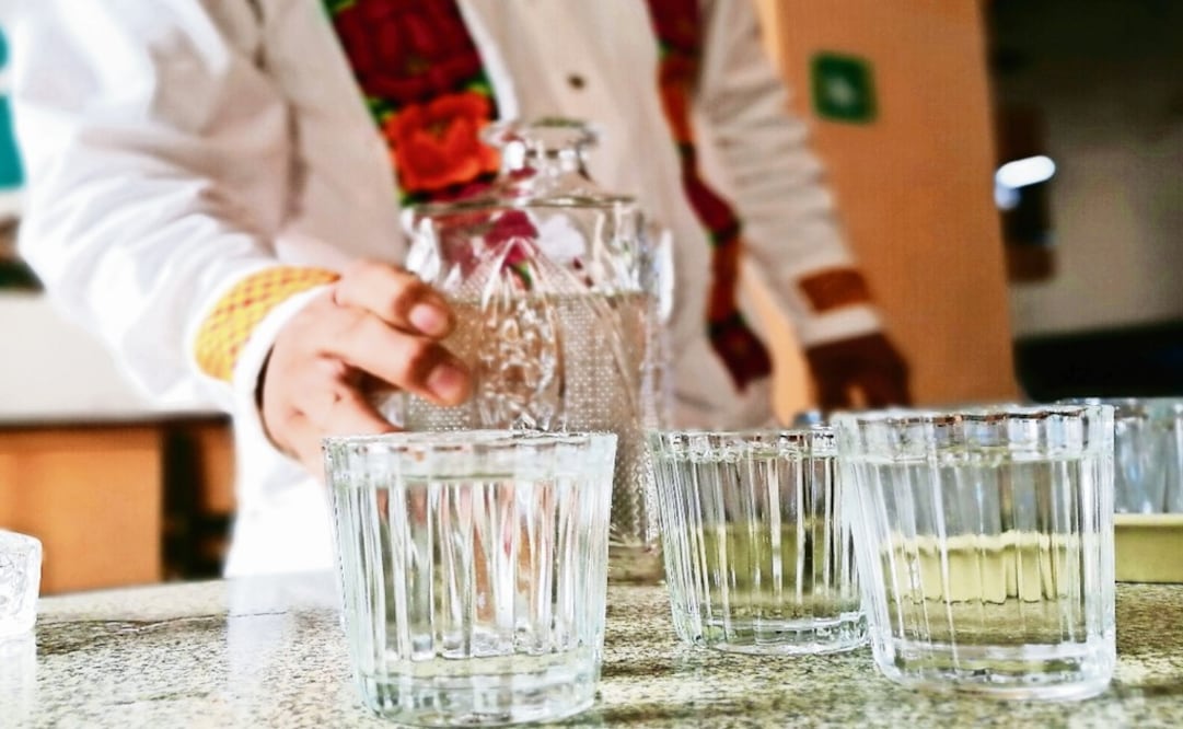 Mezcal is one of the most complex beverages in the world - Photo: Ismael García/EL UNIVERSAL