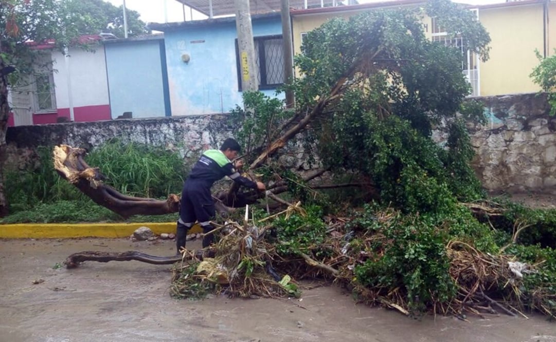 (Foto: Óscar Gutiérrez - EL UNIVERSAL)