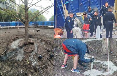 Reforzará la vigilancia alrededor del Ahuehuete, dice Sheinbaum