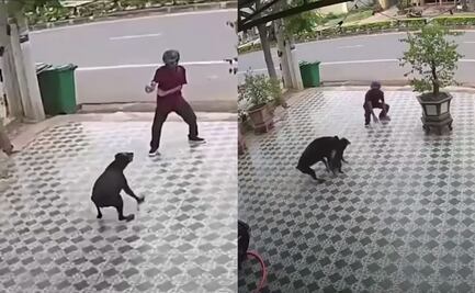 Con movimientos al estilo Karate Kid un hombre se enfrenta a un par de perros 