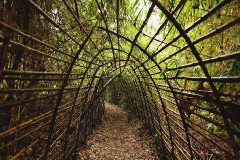 Huilo Huilo, reserva natural con hoteles que imitan la forma de los árboles