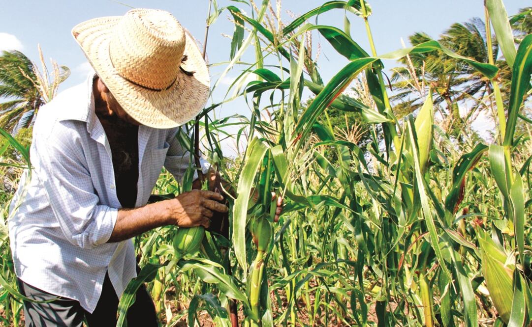 (Fotografía: Archivo)