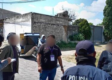 Al menos 9 perritos mueren tras consumir carne envenenada en Tlaxcala; autoridades investigan