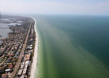 ¿La mayor masa de sargazo en la historia? Aparece en la costa oeste de Florida