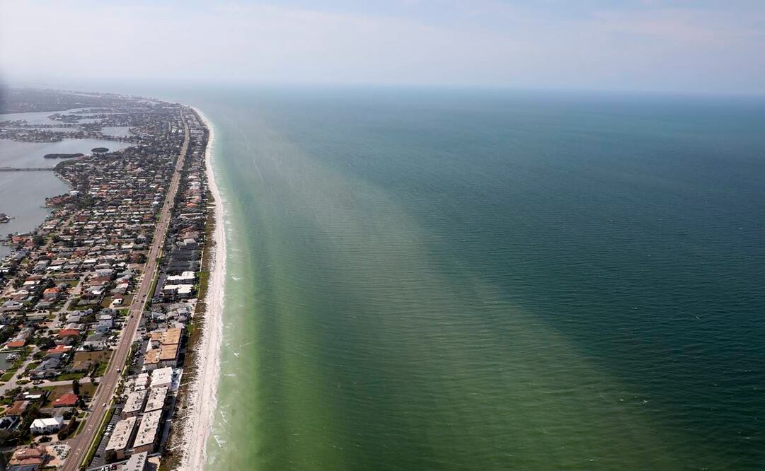 La costa suroeste de Florida experimentó un brote de algas tóxicas de marea roja esta semana, lo que generó preocupaciones de que podría continuar quedándose por un tiempo. Foto: AP