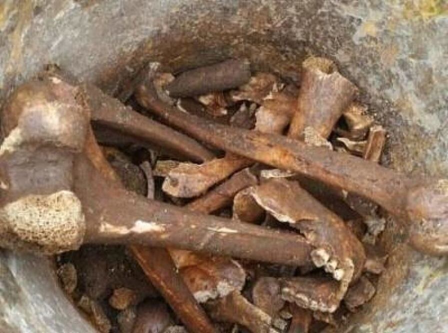 Foto: Lorenzo Hernández Pérez