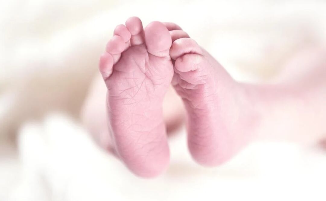 Foto: Ilustrativa. Pixabay