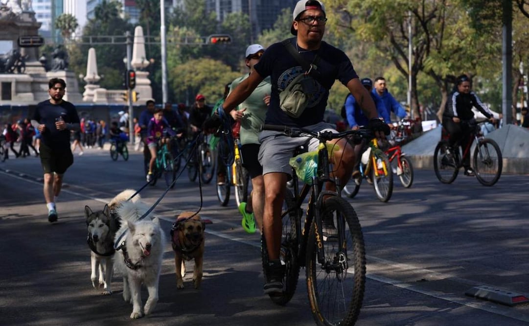 Paseo Dominical Muévete en Bici de este domingo 18 de enero rompe nuevo récord de asistencia (18/01/2026). Foto: Hugo Salvador / EL UNIVERSAL