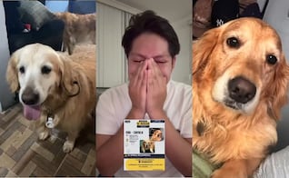 Tras sufrir violento asalto, tiktoker pide ayuda para encontrar a sus perritas Mía y Camila; ofrece recompensa de 10 mil pesos
