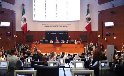 Senado inicia elección del nuevo presidente de la CNDH