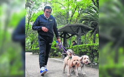 Titular de la Agencia de Atención Animal en CDMX: "no habrá persecución por no censar a mascotas"