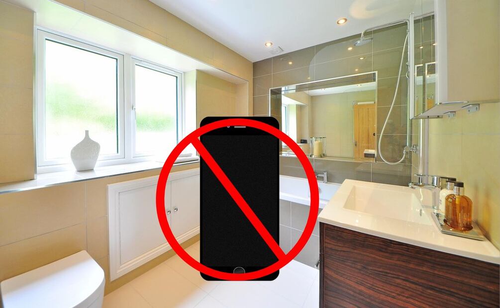 Utilizar el celular en el baño puede aumentar el riesgo de contraer enfermedades e infecciones. Foto: Especial
