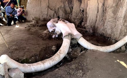 First mammoth traps in the world found in Tultepec, Mexico