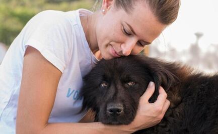 ¿Qué preparar en la primera noche de un perro adoptado?; lo que no te puede faltar en casa, según veterinaria