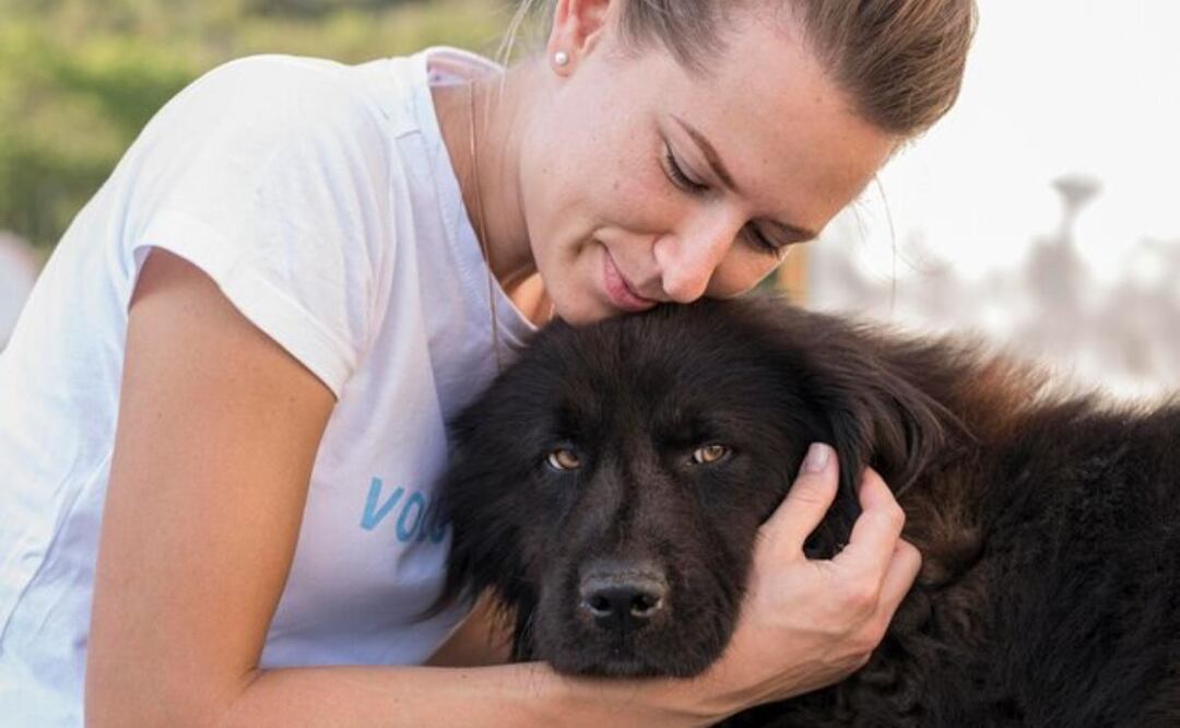 Adoptar un perro es el comienzo de una relación única y especial. Fuente: Freepik.