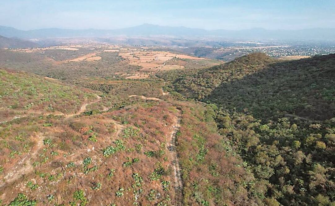 La comunidad de San Agustín Tetlama, del municipio morelense de Temixco, y la empresa minera Esperanza Silver de México trabajan de manera coordinada en la realización de distintas acciones que contribuyen al desarrollo local. Foto: Especial