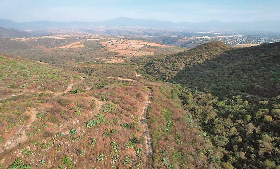La comunidad de San Agustín Tetlama, del municipio morelense de Temixco, y la empresa minera Esperanza Silver de México trabajan de manera coordinada en la realización de distintas acciones que contribuyen al desarrollo local. Foto: Especial