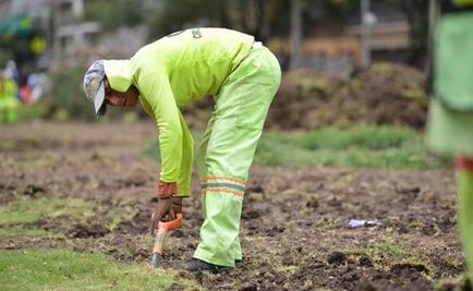 Obras en Mixcoac provocan tránsito pesado