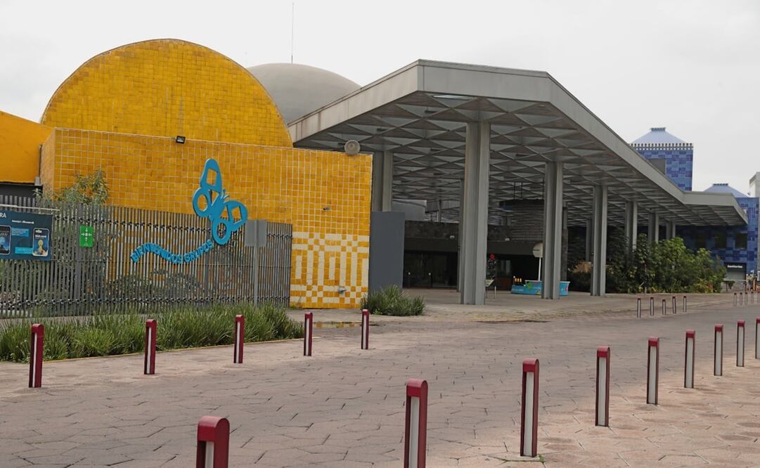 Foto: ARCHIVO EL UNIVERSAL