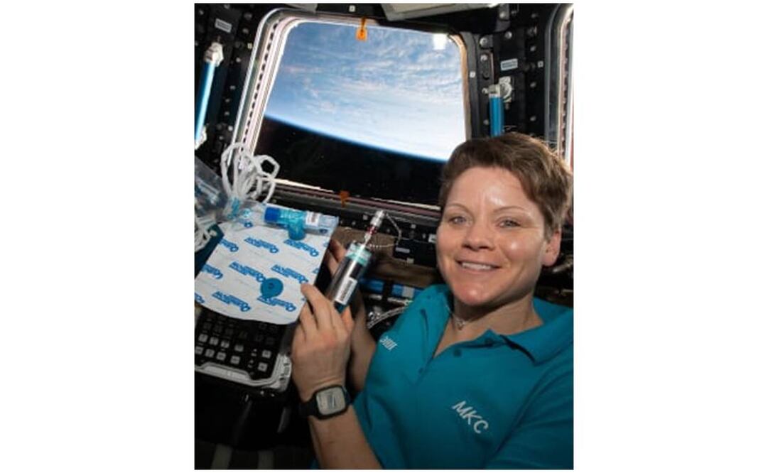 La astronauta de la NASA Anne McClain aparece en la cúpula sosteniendo un equipo biomédico que mide los cambios de grasa en la médula ósea antes y después de la exposición a la microgravedad.  Créditos: NASA