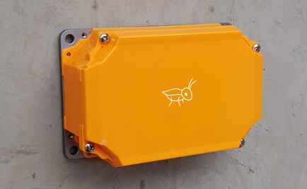 El “grillo” que podría salvarte tras un sismo