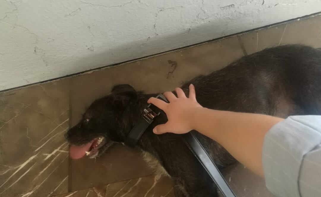 Foto: Tomada de @MetroCDMX