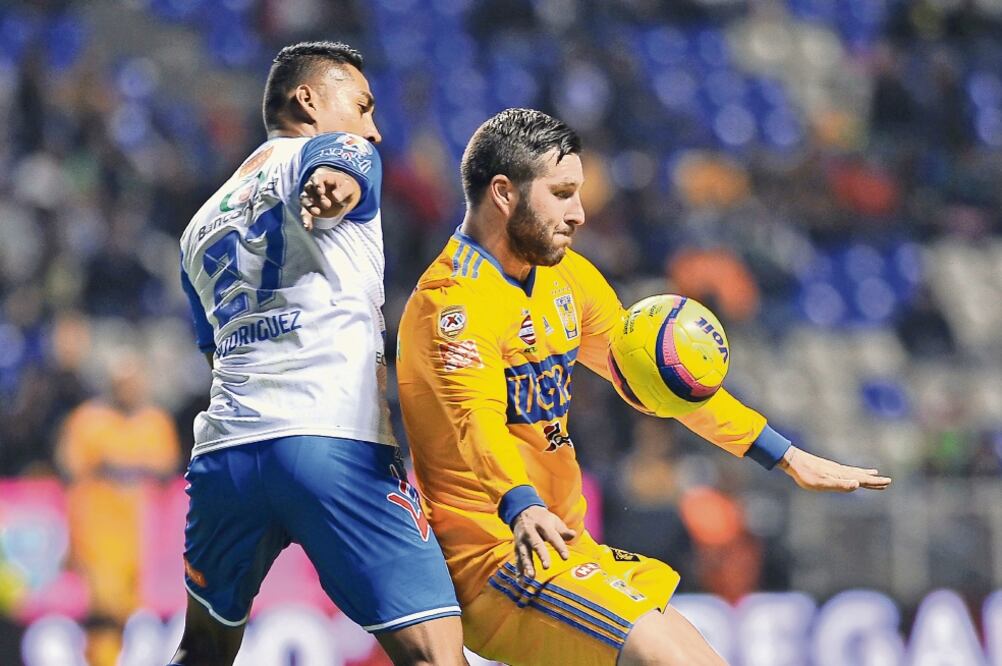 Los felinos del norte iniciaron el torneo con derrota ante La Franja (AFP)