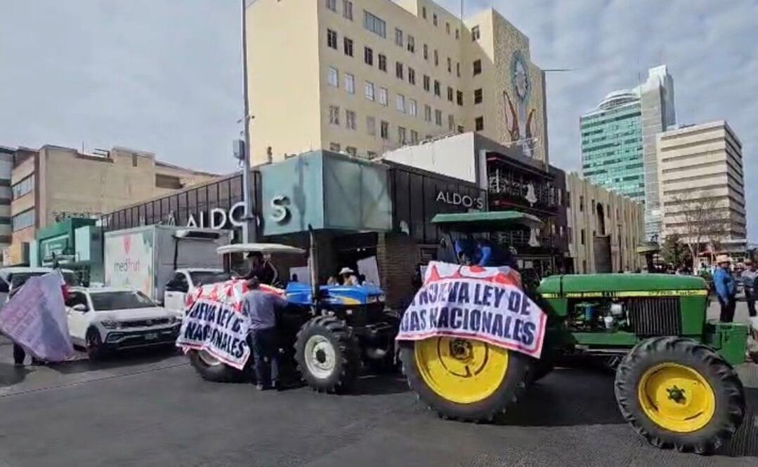 Los manifestantes son de la región centro-sur del estado. Foto: Especial