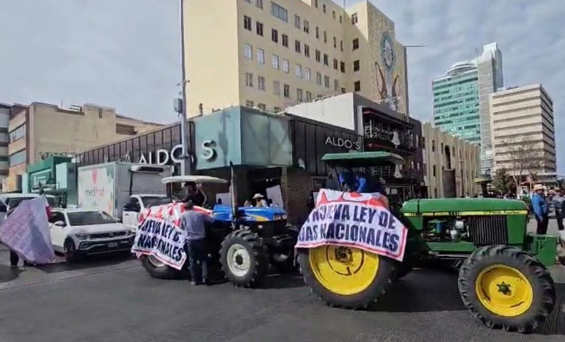 Los manifestantes son de la región centro-sur del estado. Foto: Especial