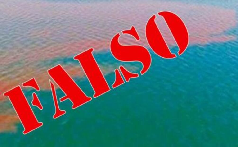 FITURCA: “ es falsa la supuesta mancha de excremento en Los Cabos”