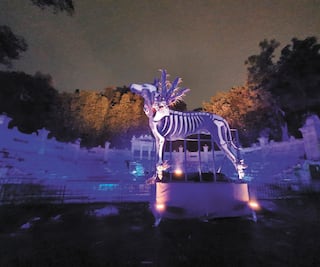 Continuará espectáculo nocturno en Chapultepec