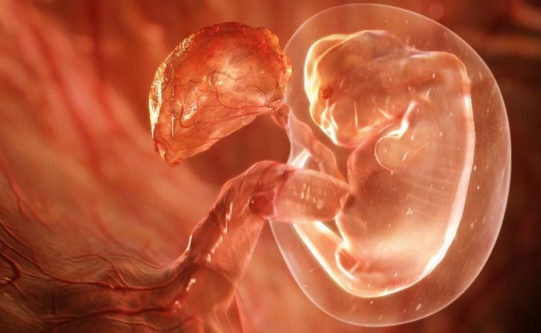 The team will now seek to work with Mexico City hospitals so that the study of molecular biology and genetics applied to malformations in the oral cavity is given more importance - File photo/EFE