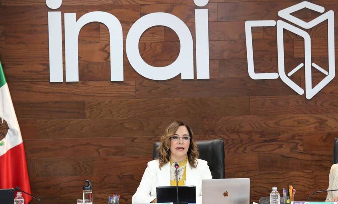 Blanca Lilia Ibarra, comisionada del Instituto Nacional de Transparencia, Acceso a la Información y Protección de Datos Personales (Inai) / Foto: Twitter
