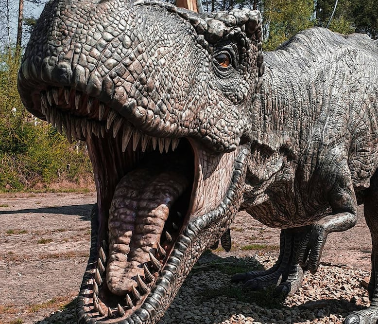 Foto: Frank Kroeger. Unsplash