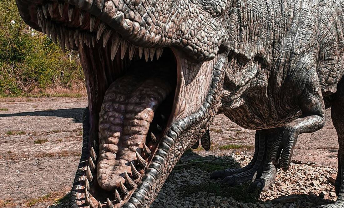 Foto: Frank Kroeger. Unsplash