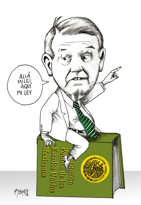 Cartón de HELIOFLORES