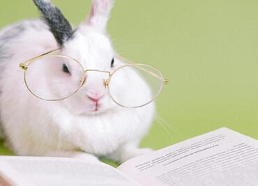 El alimento vegetal que ayuda al rendimiento cognitivo y cuida la memoria