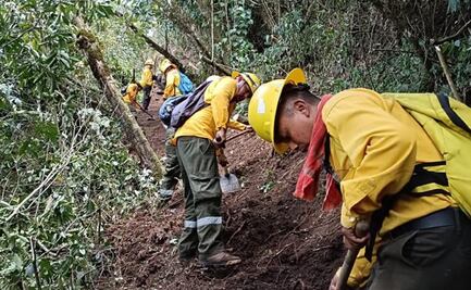 Se mantienen activos dos incendios forestales en Veracruz