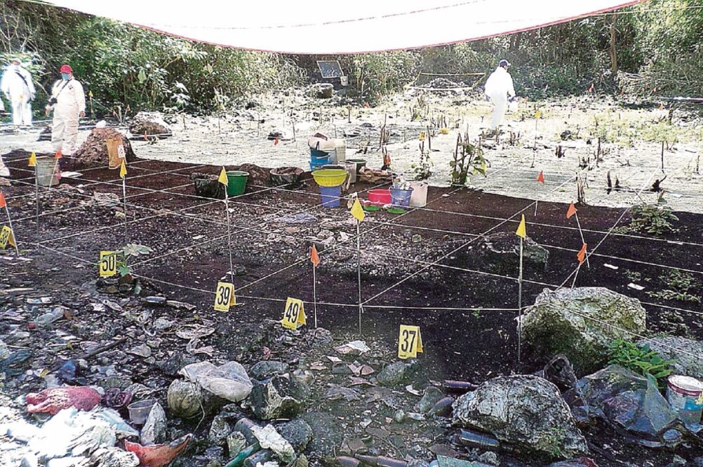 La autoridad no divulgó que hay más focos de incendio y que faltan elementos para saber el día exacto en que ocurrieron (ARCHIVO EL UNIVERSAL)